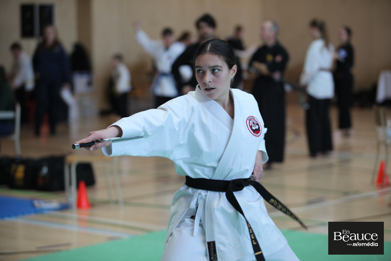Le 23e Championnat Yoseikan Beauce réunit les passionnés à Saint-Georges