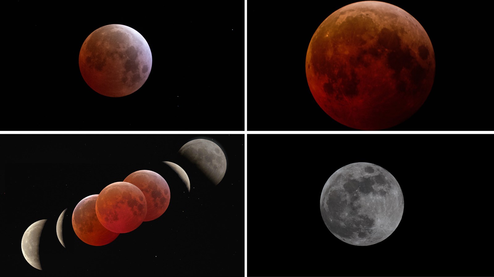 L’éclipse lunaire dans la lentille des astronomes et photographes amateurs