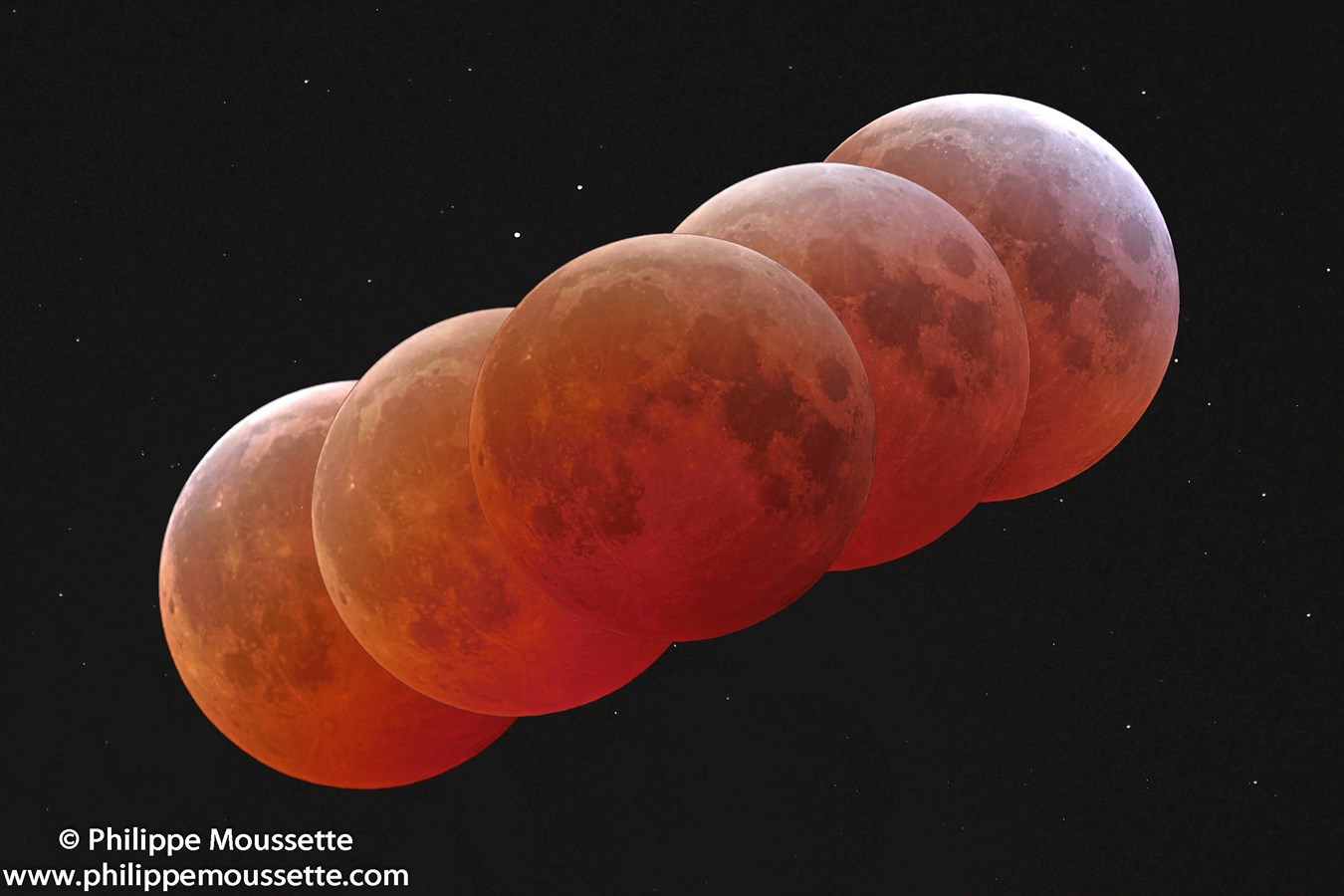 Éclipse de lune du 14 mars 2025 pris a Cap-Rouge Canon R3 et RF 600mm F4 1/250 secondes a 1/4 de secondes 200 a 800 iso