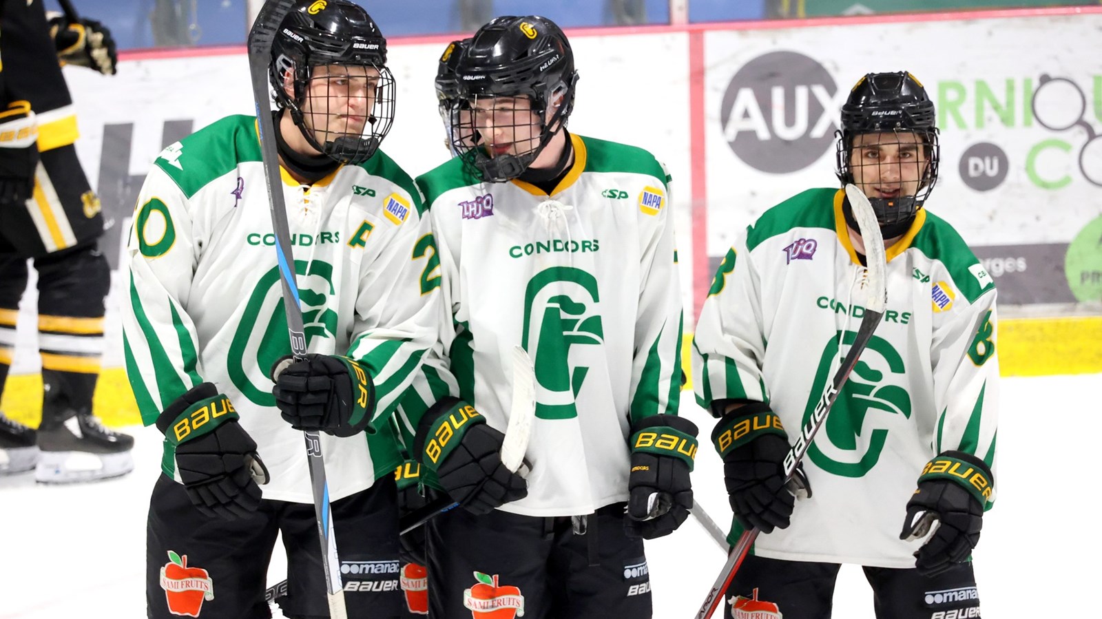 Les Condors égalisent la série avec une performance offensive solide