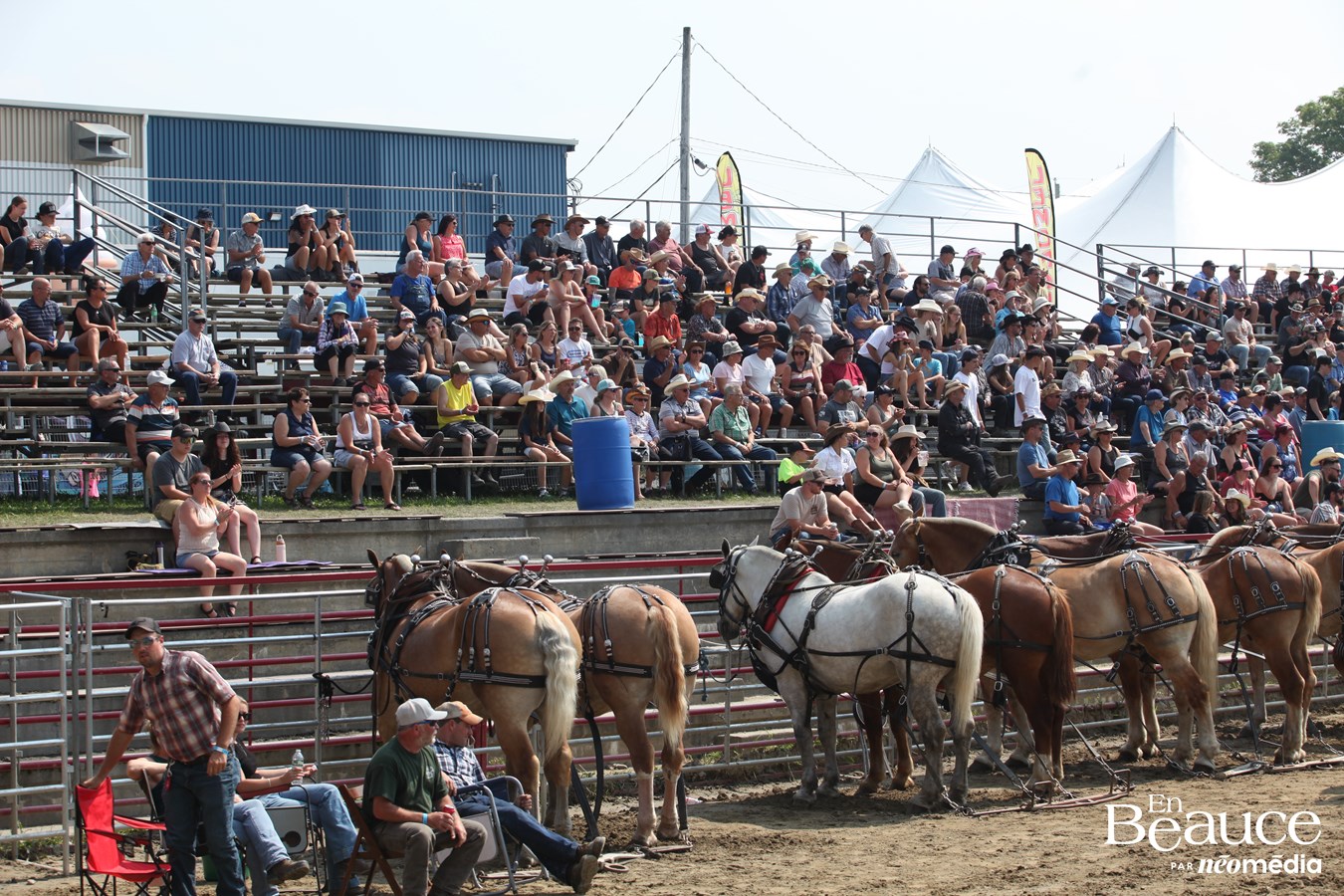 Bûcherons et chevaux font vibrer les Festivités Western de Saint-Victor