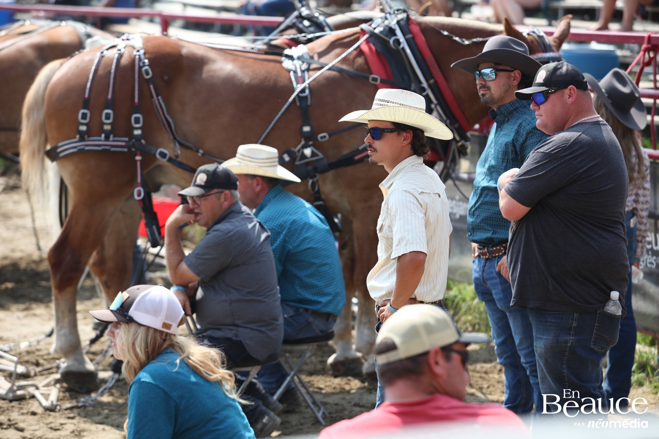Bûcherons et chevaux font vibrer les Festivités Western de Saint-Victor