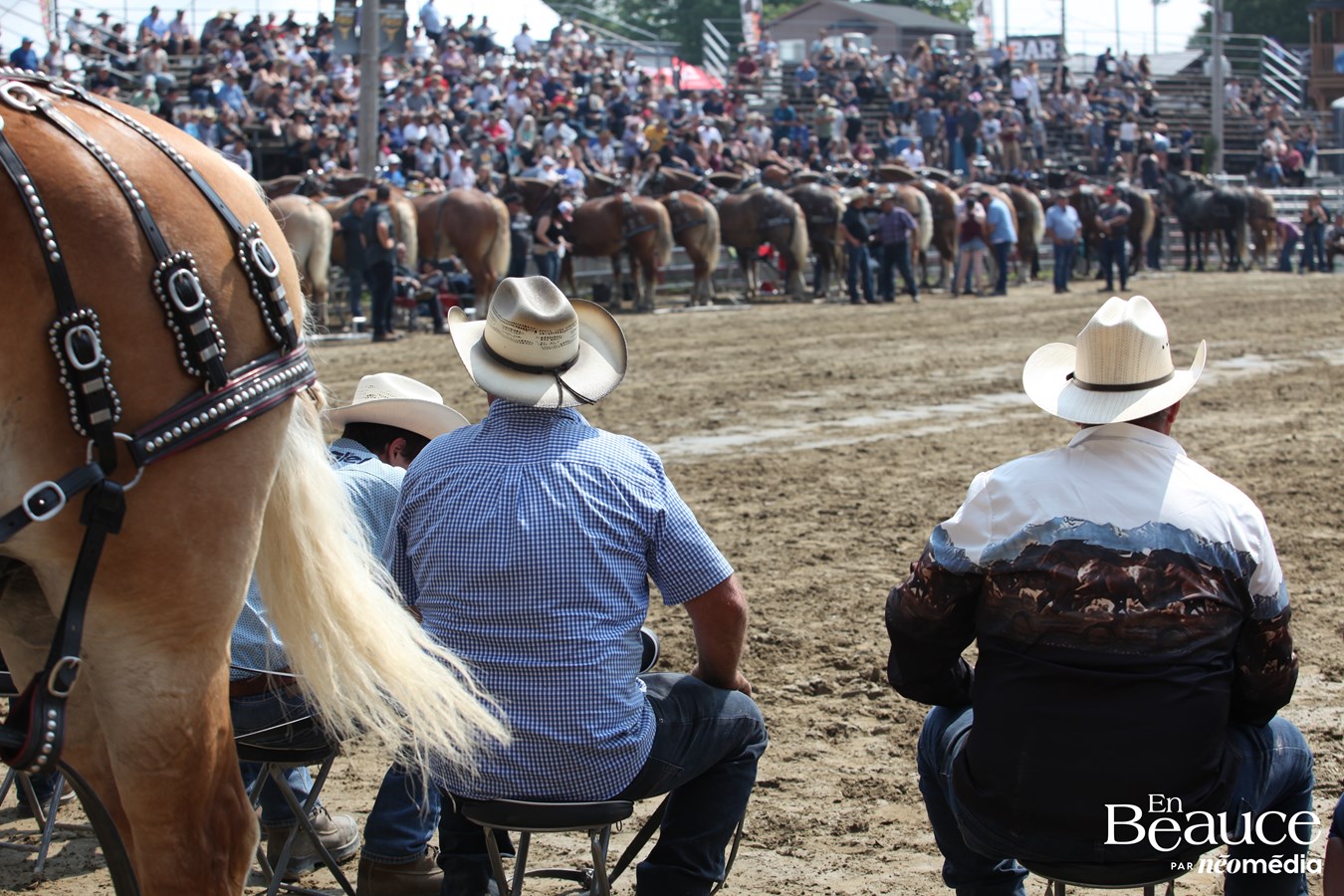 Bûcherons et chevaux font vibrer les Festivités Western de Saint-Victor