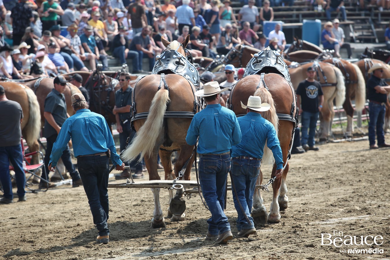Bûcherons et chevaux font vibrer les Festivités Western de Saint-Victor