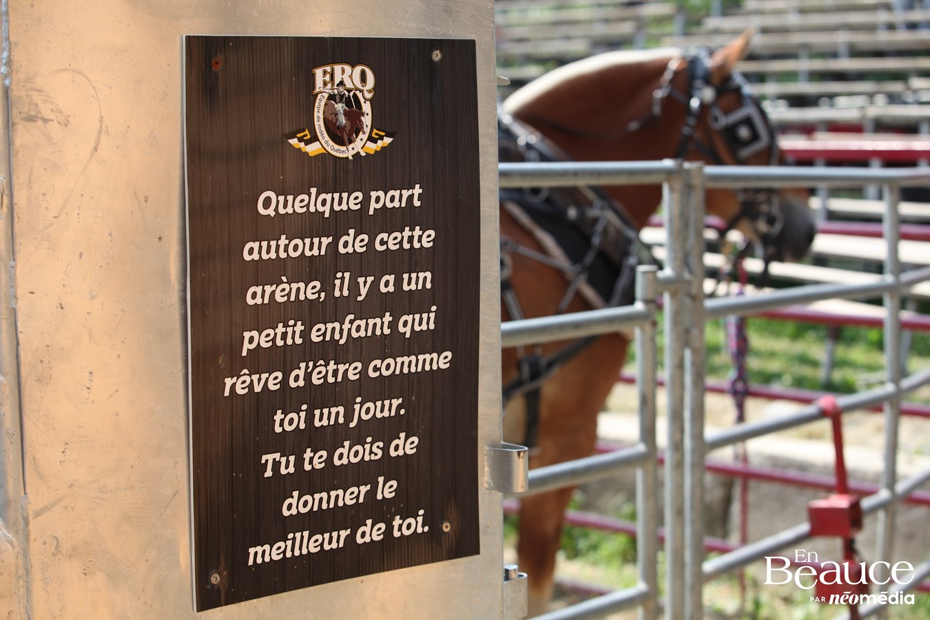 Bûcherons et chevaux font vibrer les Festivités Western de Saint-Victor