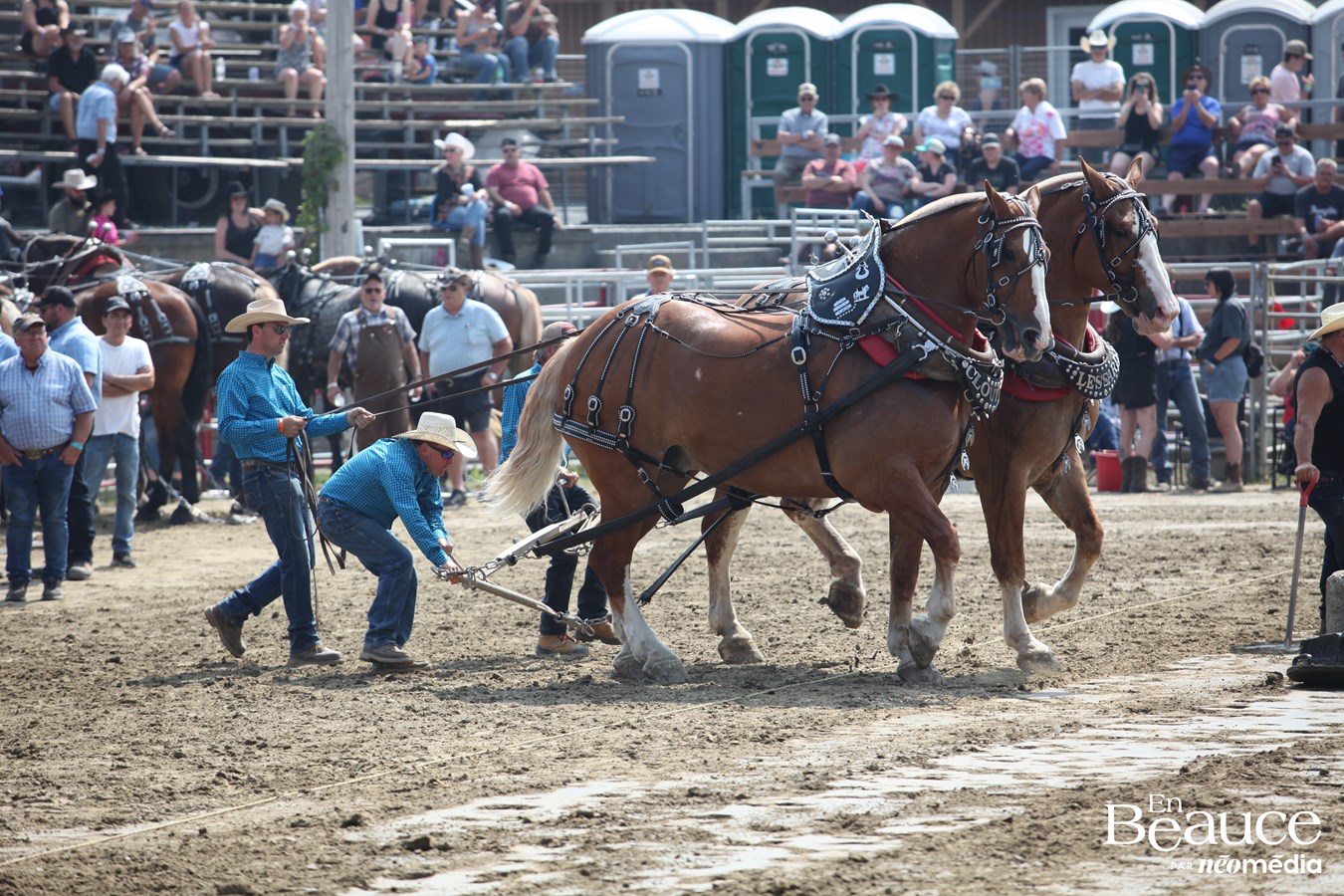 Bûcherons et chevaux font vibrer les Festivités Western de Saint-Victor