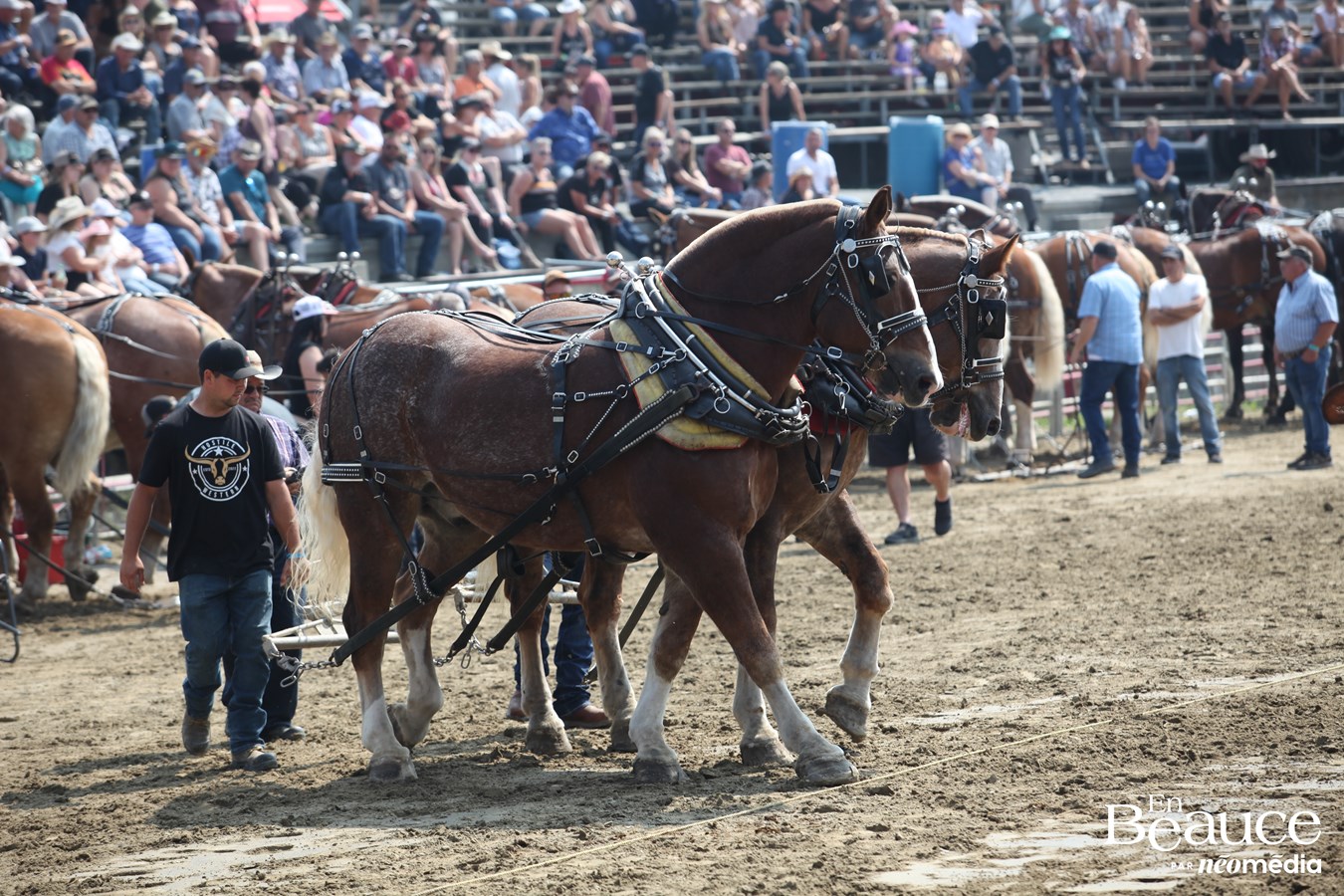 Bûcherons et chevaux font vibrer les Festivités Western de Saint-Victor