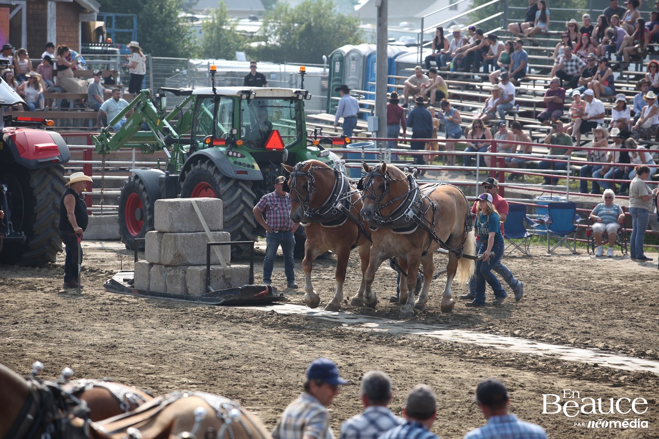 Bûcherons et chevaux font vibrer les Festivités Western de Saint-Victor
