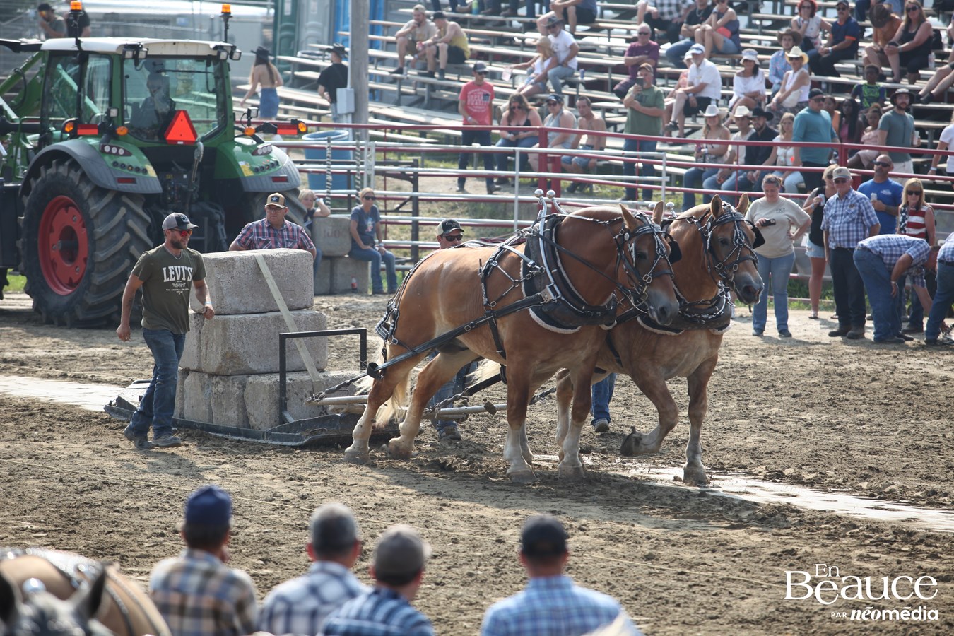 Bûcherons et chevaux font vibrer les Festivités Western de Saint-Victor