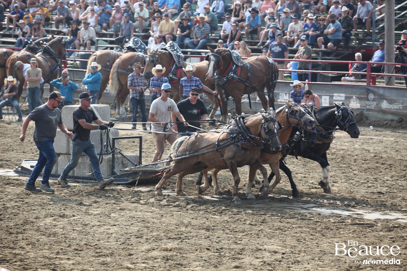 Bûcherons et chevaux font vibrer les Festivités Western de Saint-Victor