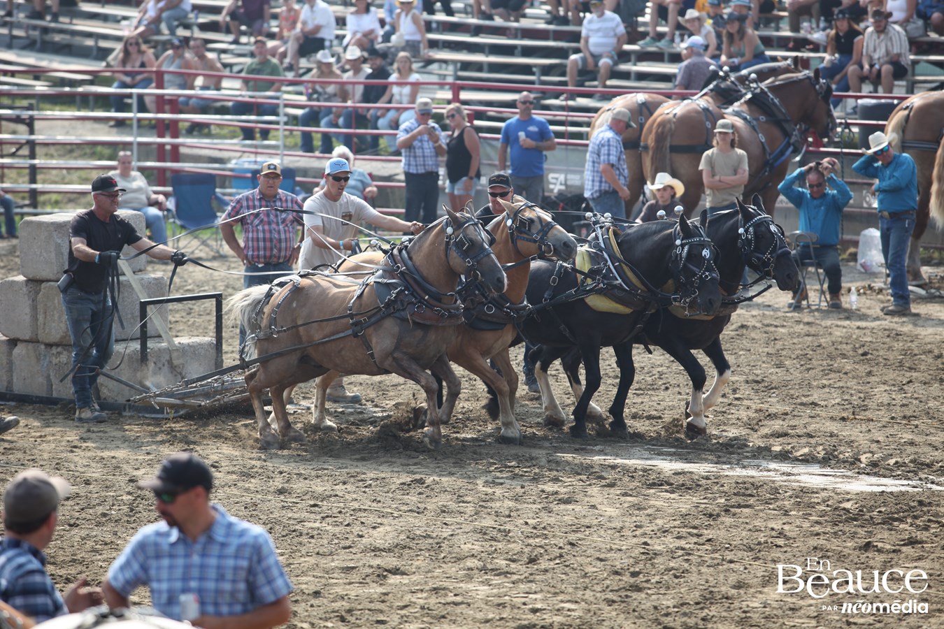 Bûcherons et chevaux font vibrer les Festivités Western de Saint-Victor