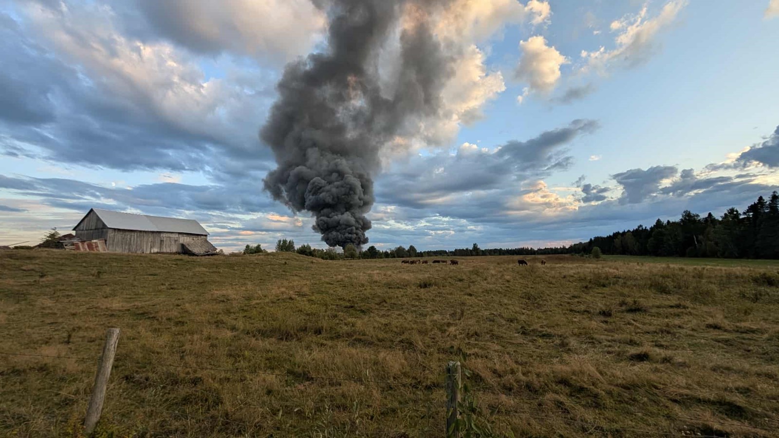 Saint-Philibert : important incendie dans l'entreprise Fernand Bégin