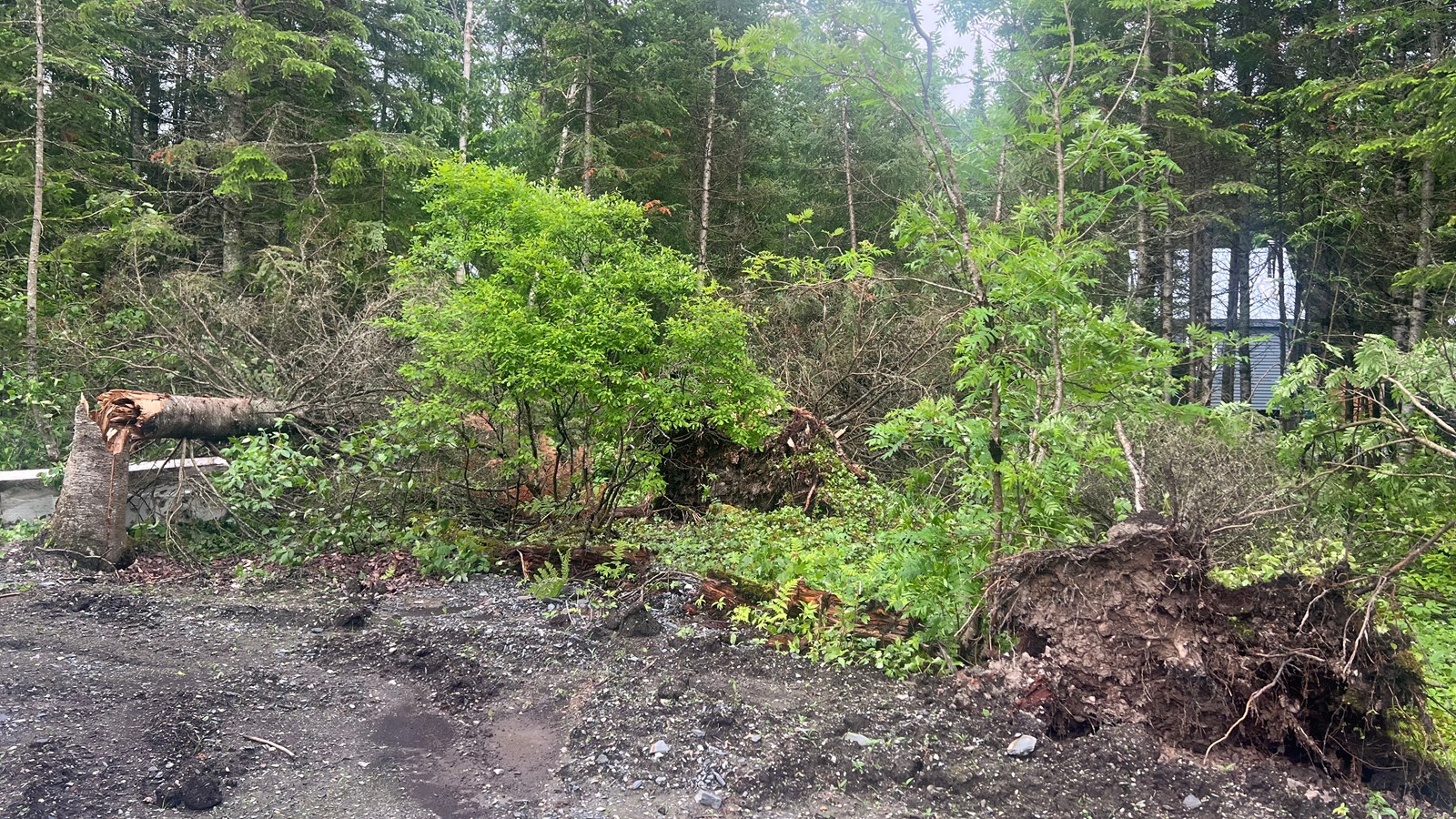 Tornade confirmée à Saint-Évariste-de-Forsyth en juin dernier