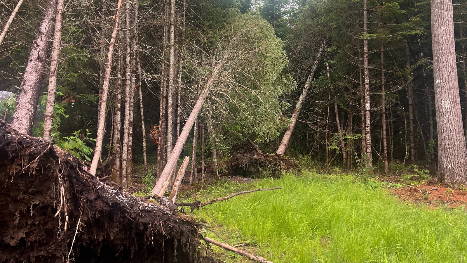 Tornade confirmée à Saint-Évariste-de-Forsyth en juin dernier