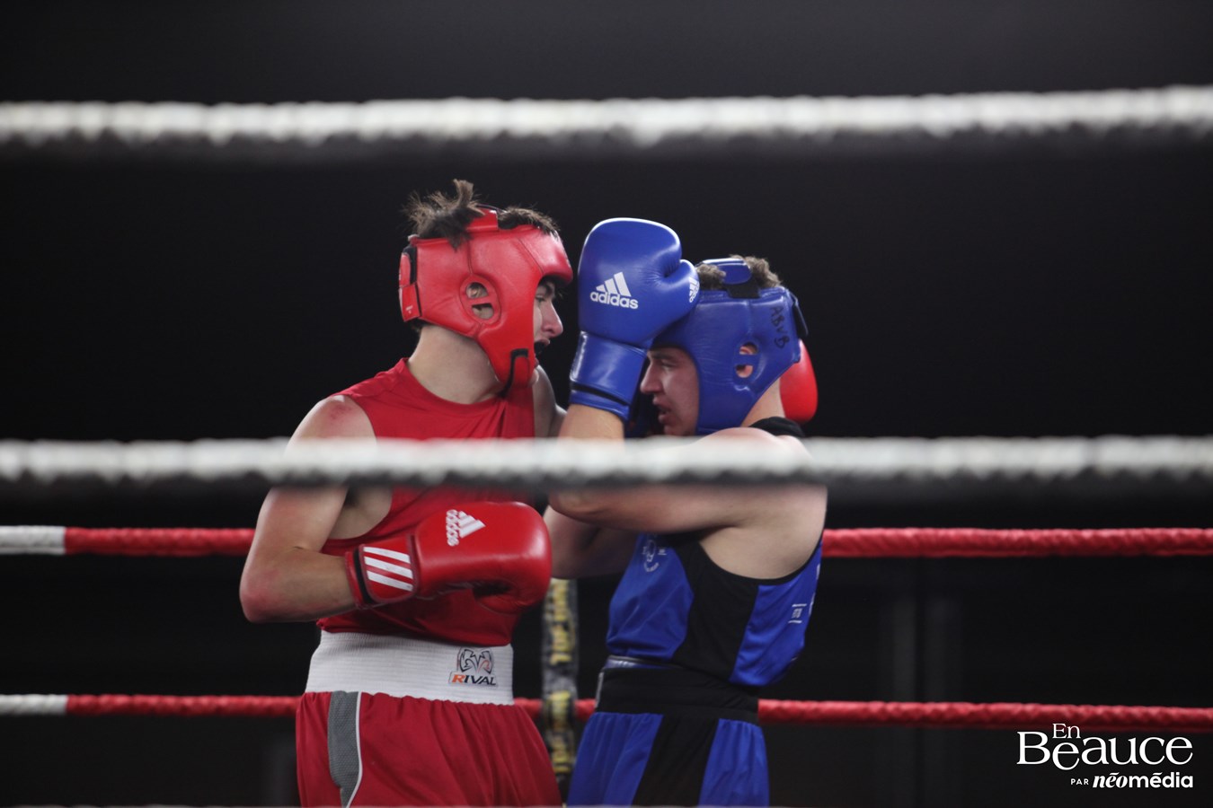 Les athlètes d’Hubert Poulin brillent au Gala de boxe de Saint-Zacharie