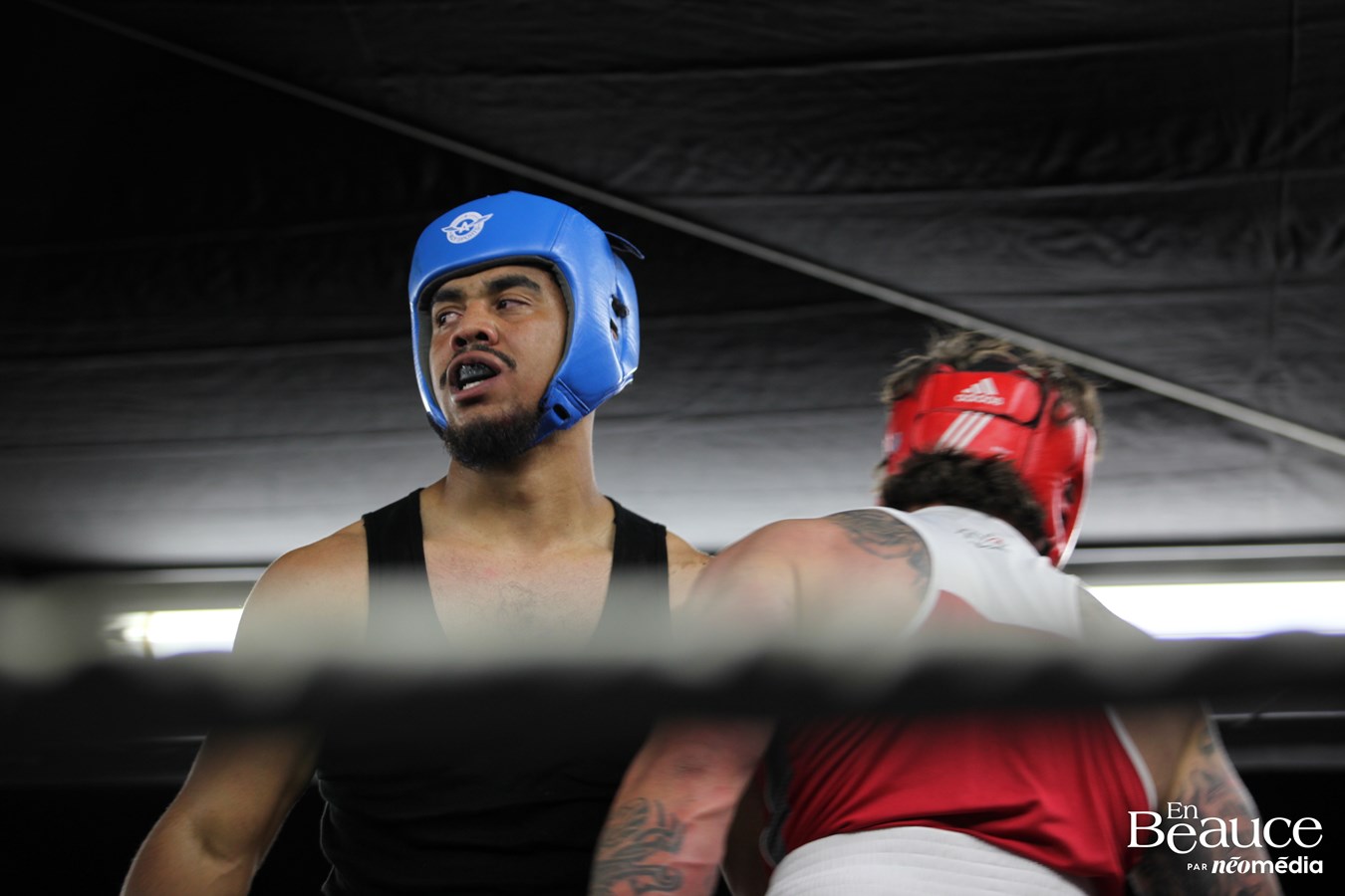 Les athlètes d’Hubert Poulin brillent au Gala de boxe de Saint-Zacharie