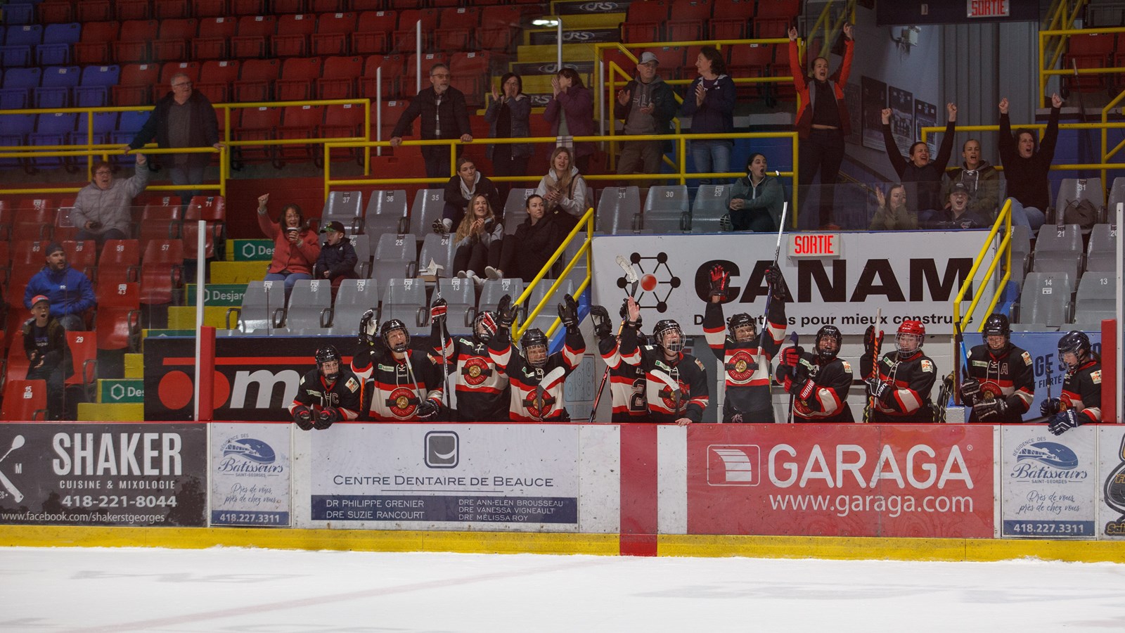Bientôt une équipe de hockey féminin au Cégep Beauce-Appalaches?