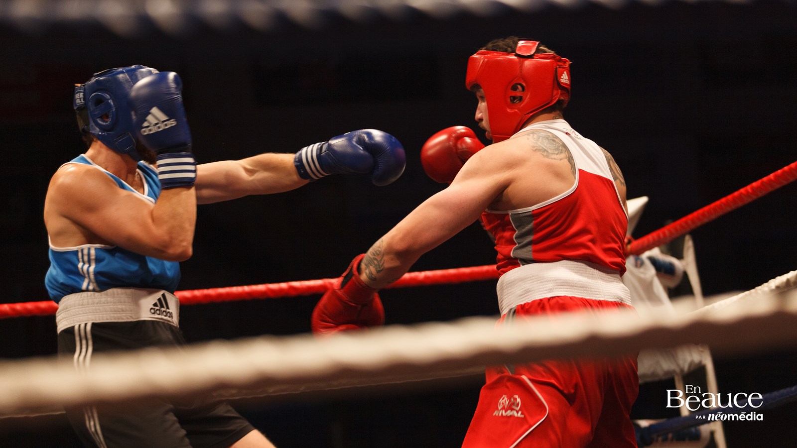 Le Super Gala de Boxe Saint-Georges Ford en images