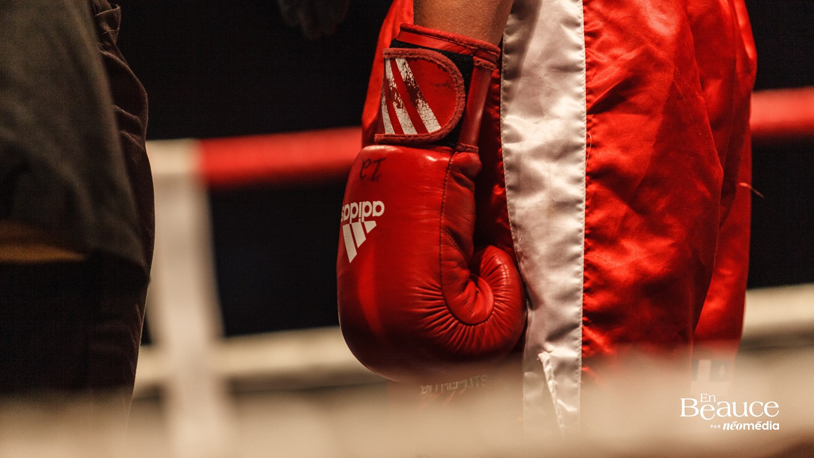Le Super Gala de Boxe Saint-Georges Ford en images