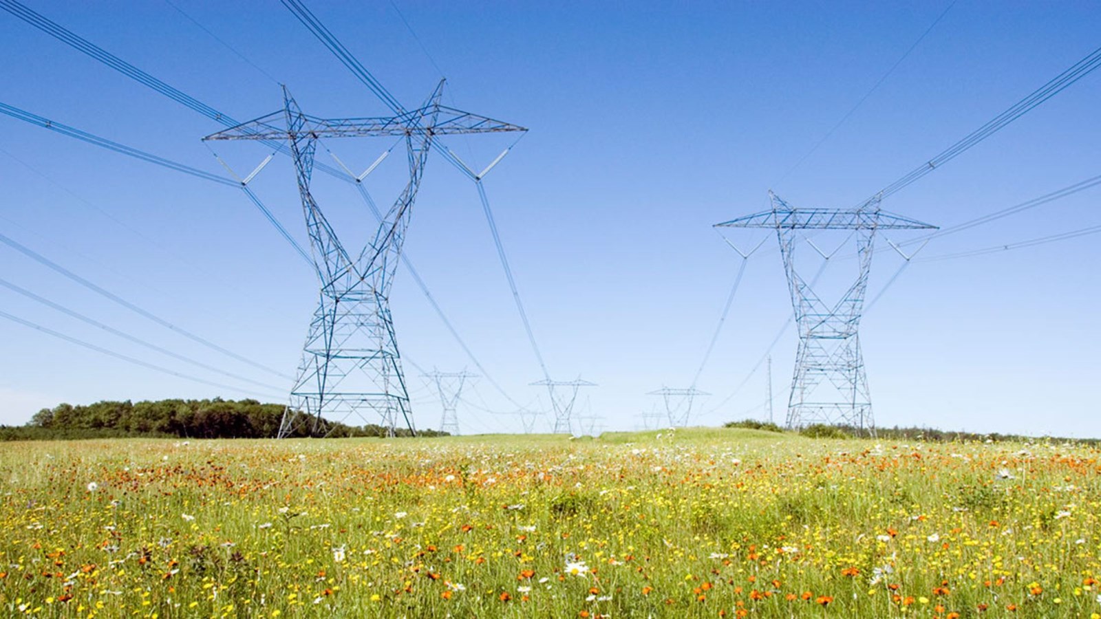Ligne de haute tension: la Nouvelle-Beauce veut préserver le potentiel agricole