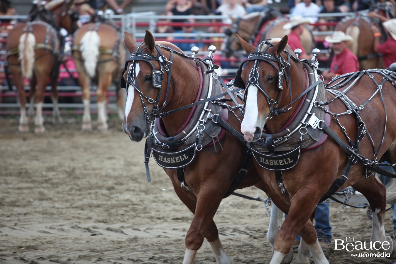 Saint-Victor conclut une grande semaine western