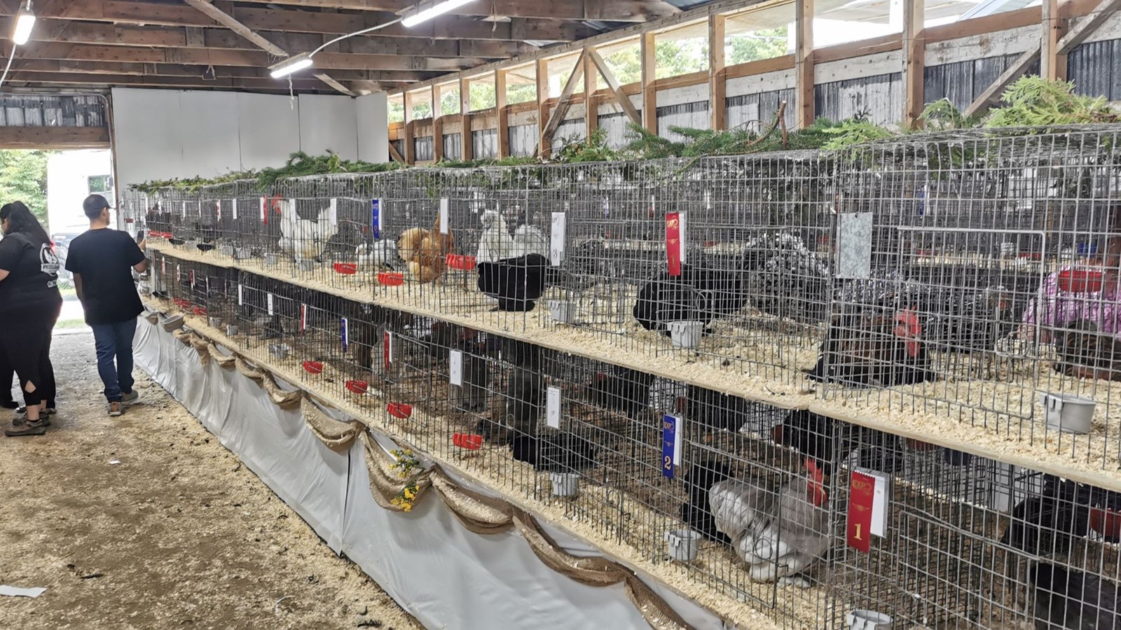 Retour en images sur l'Expo agricole de Beauce