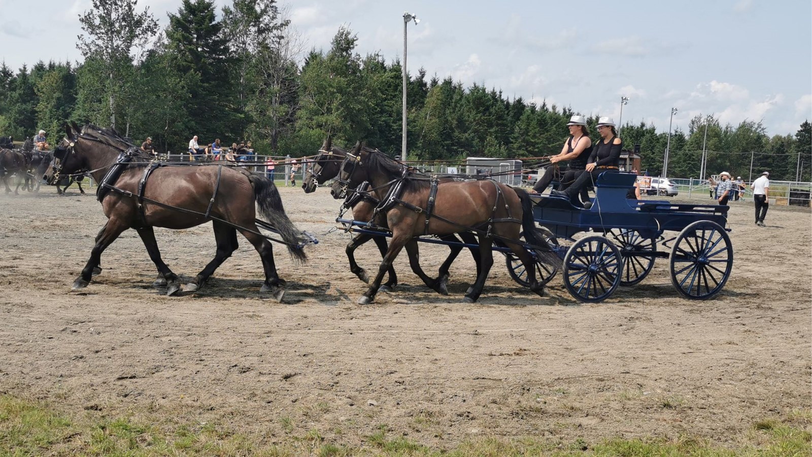 Retour en images sur l'Expo agricole de Beauce