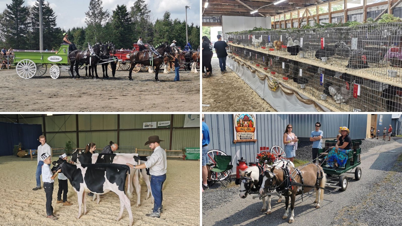 Retour en images sur l'Expo agricole de Beauce