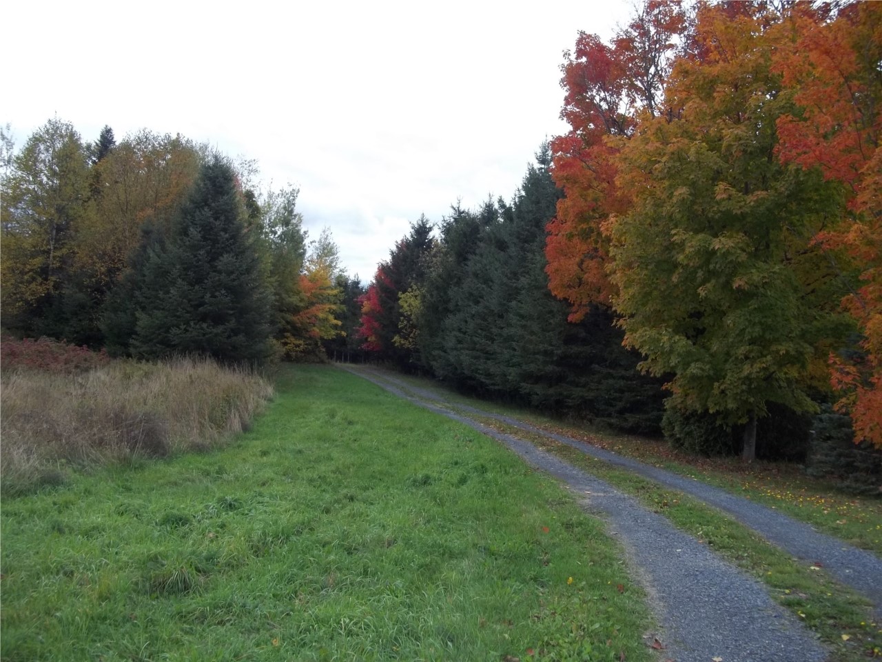 Photo de la région
