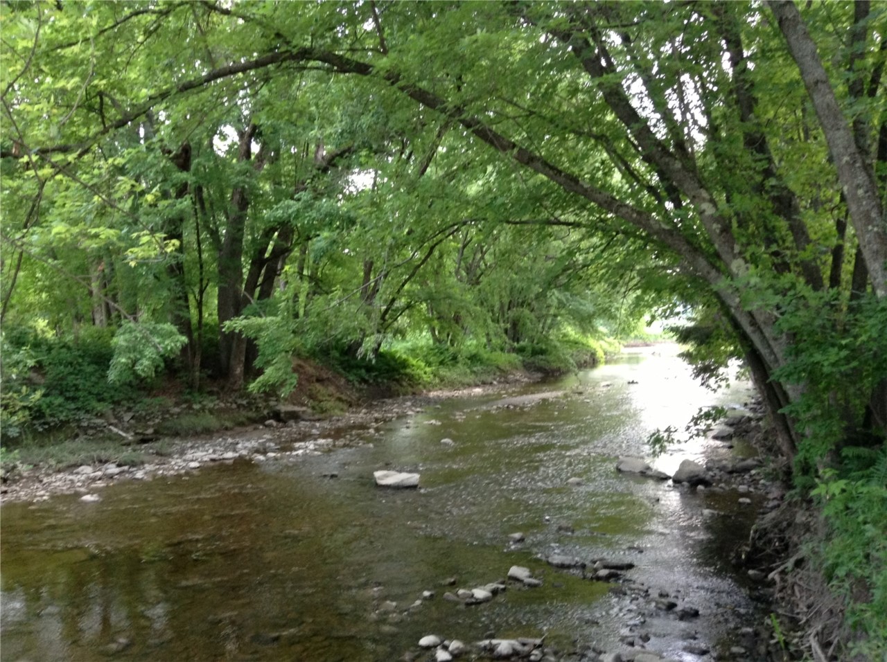 Rivière Gilbert