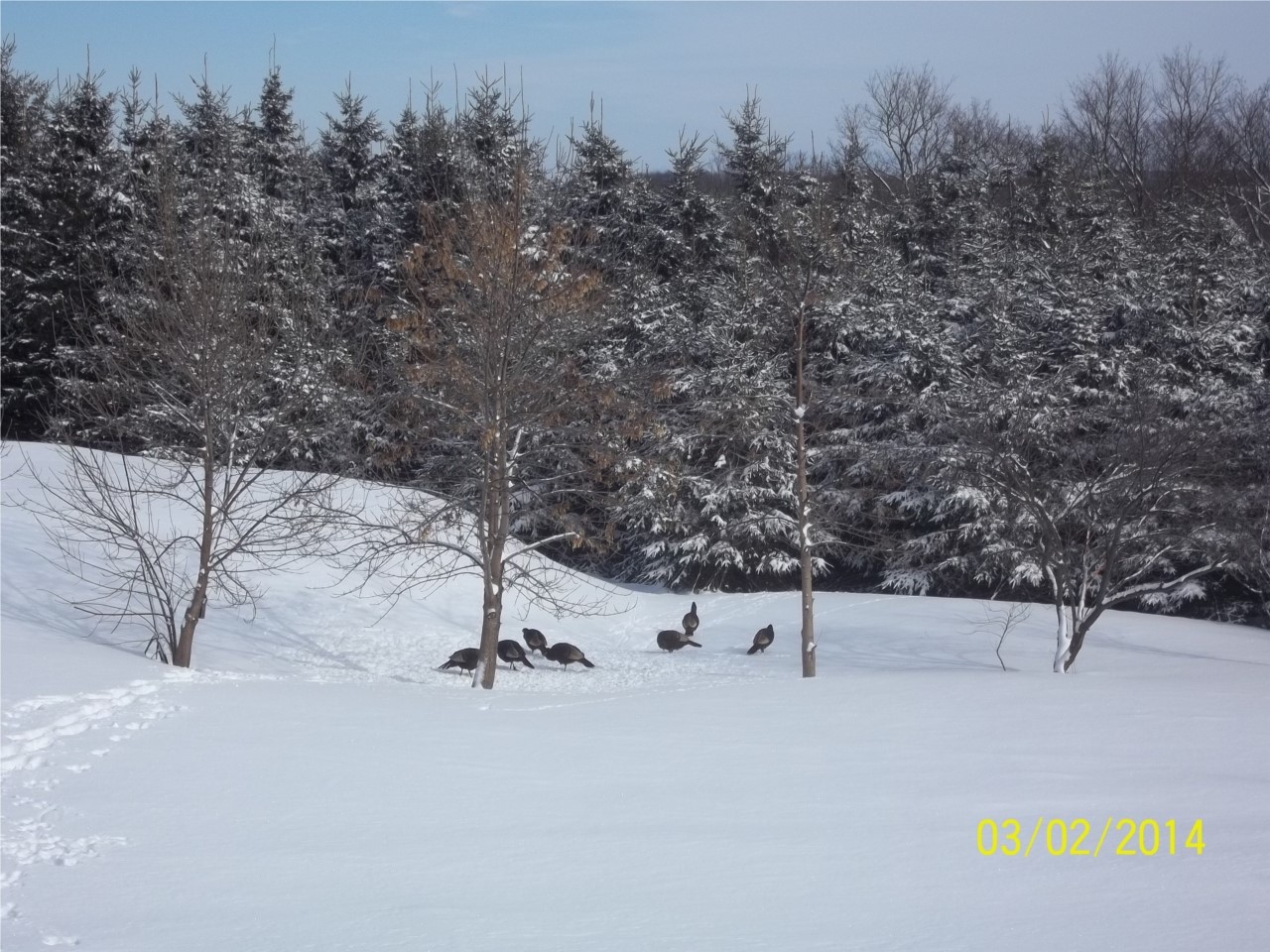 Photo de la région