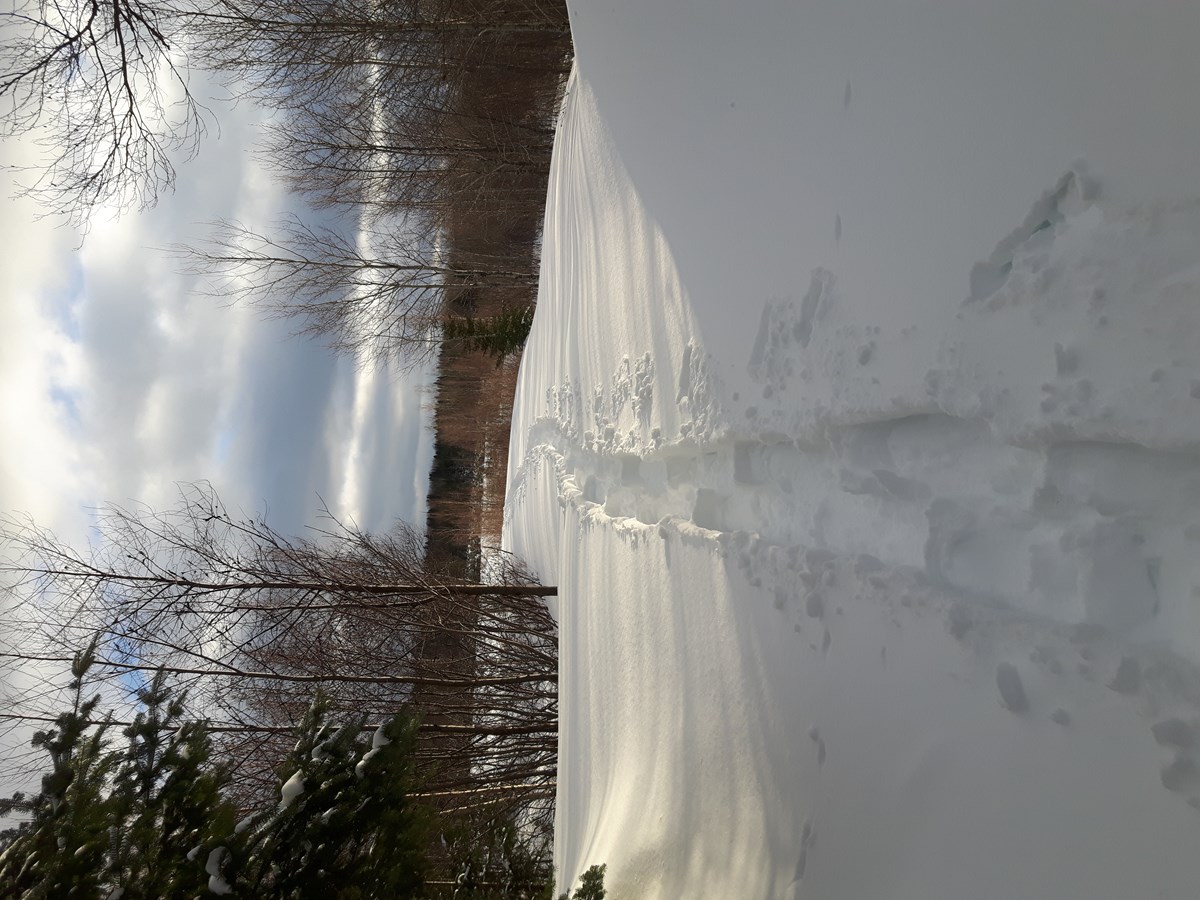 Photo de la région