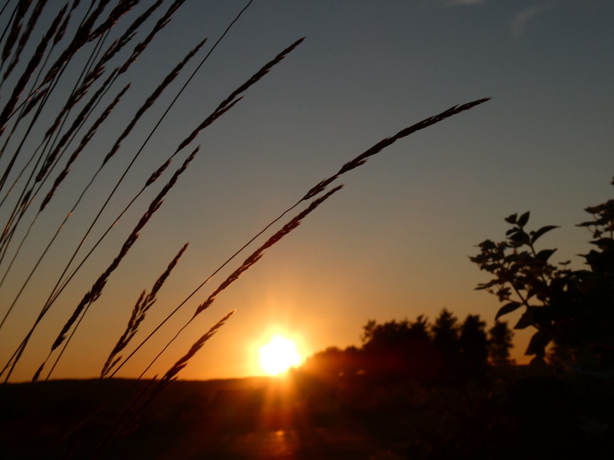 Coucher de soleil