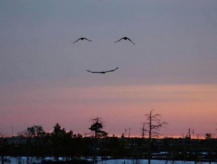 sourire