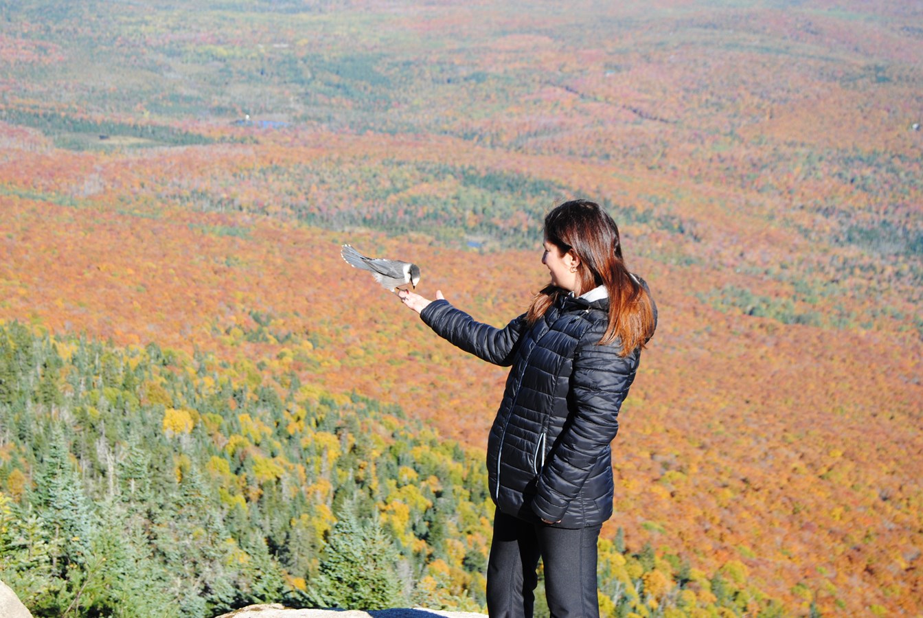 Mont St-Joseph
