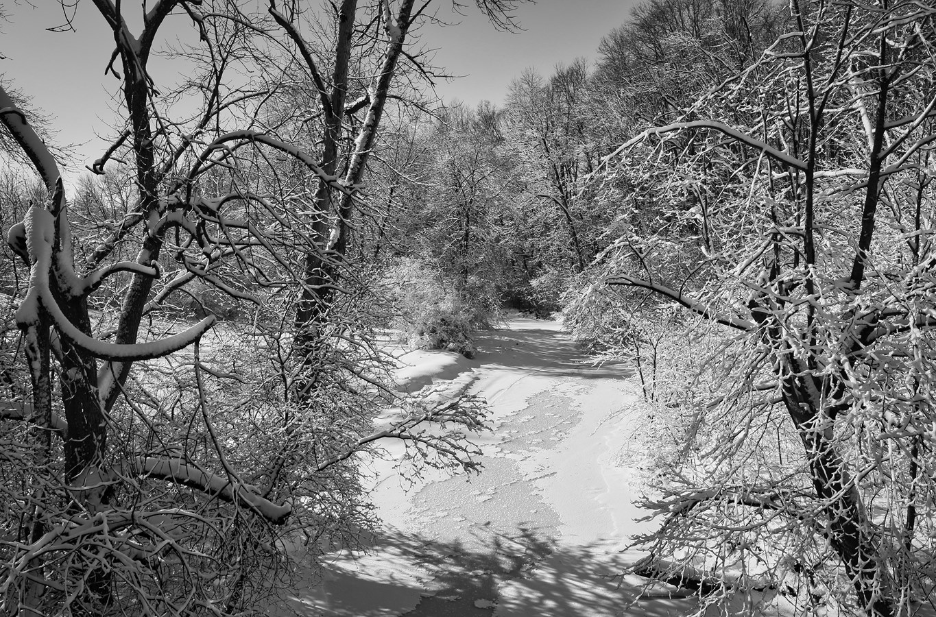 Vue du Pont