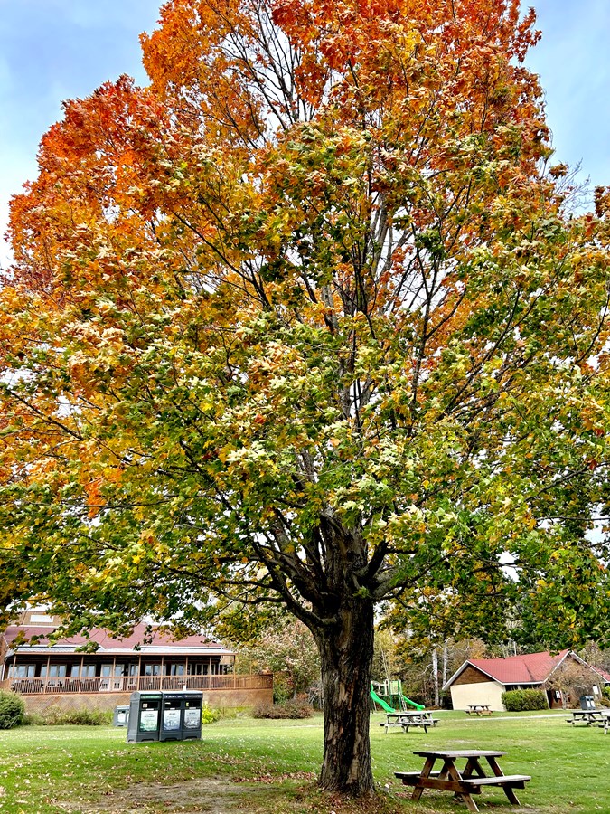 Photo de la région