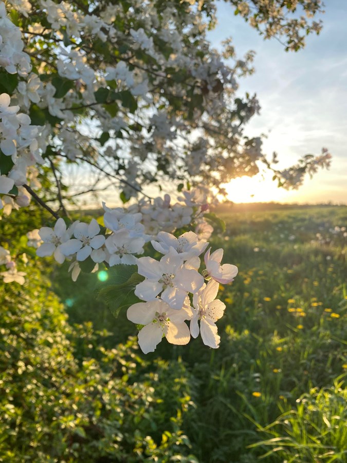 Photo de la région