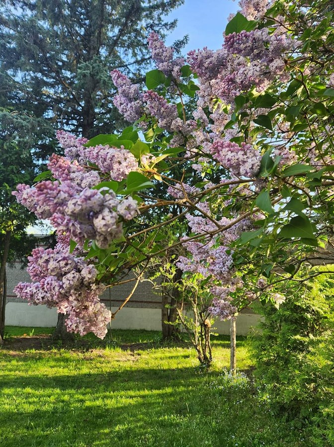 Photo de la région