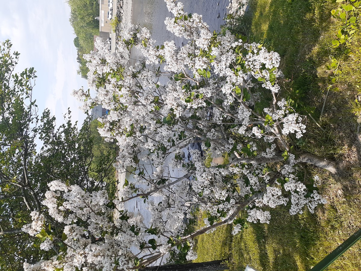 Photo de la région