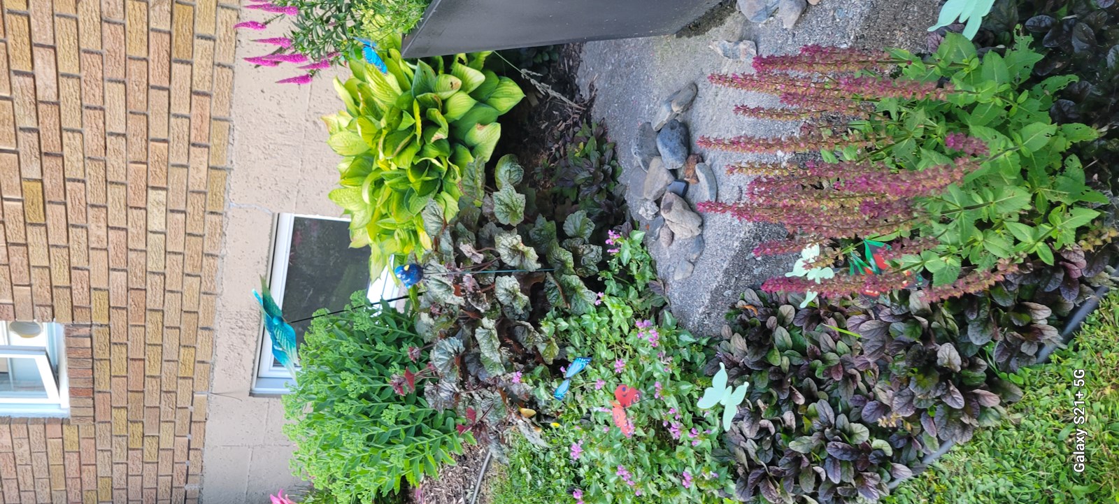 Photo de la région