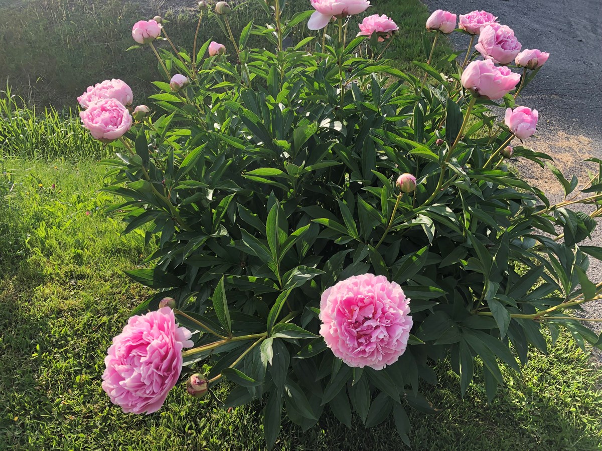Photo de la région