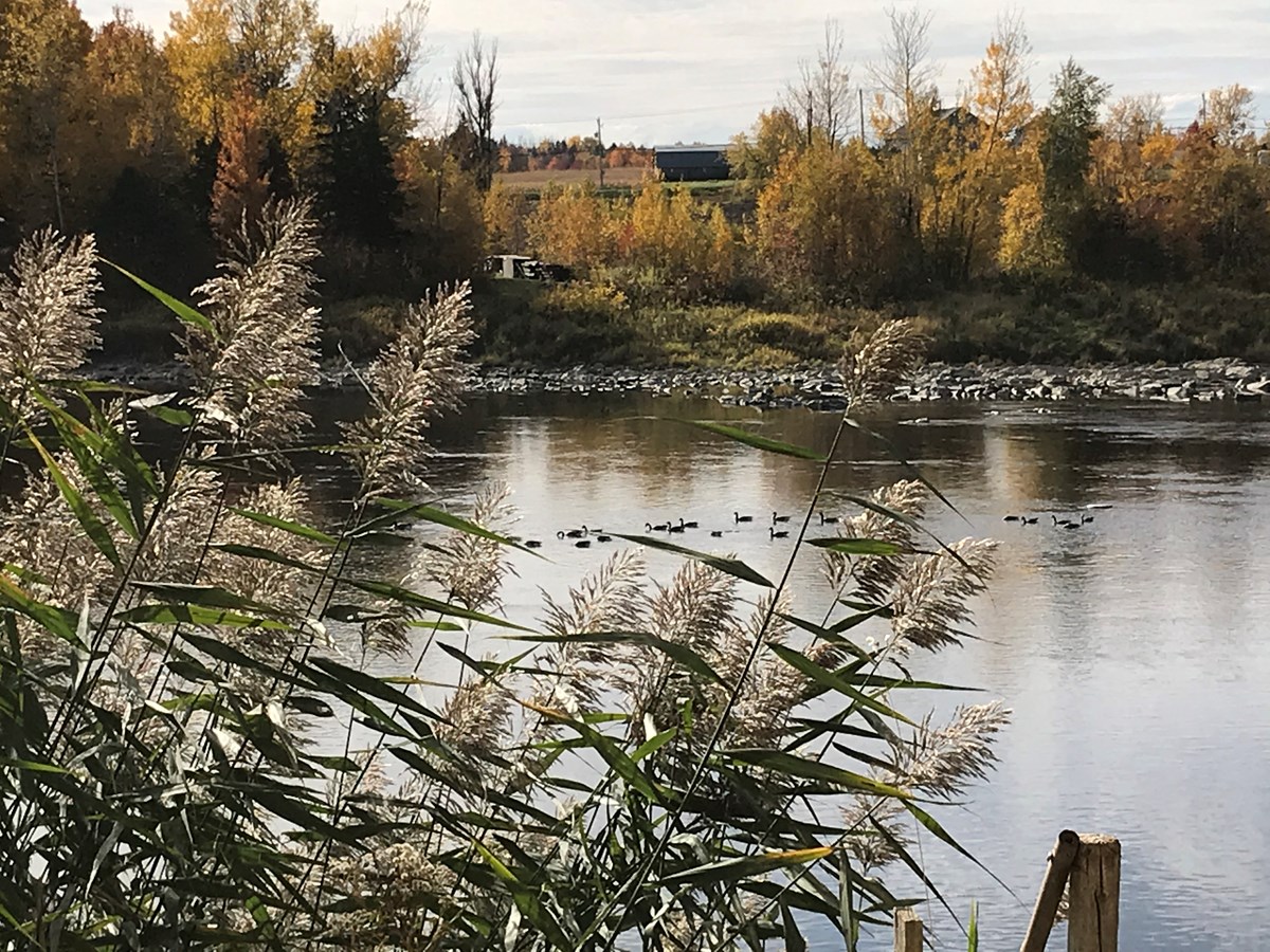Photo de la région