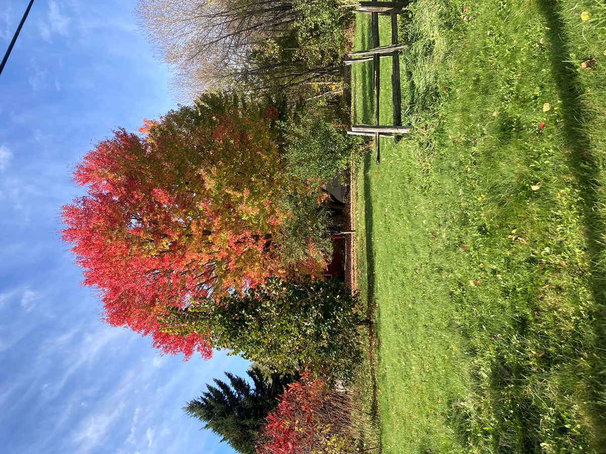 Photo de la région