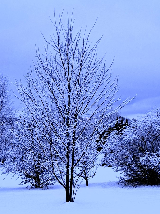 Photo de la région
