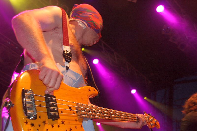 cow bass