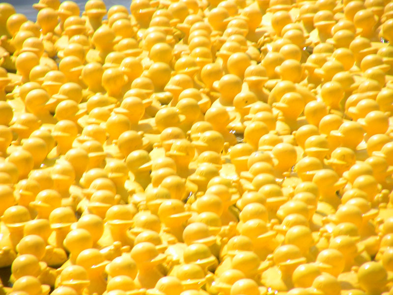 5000