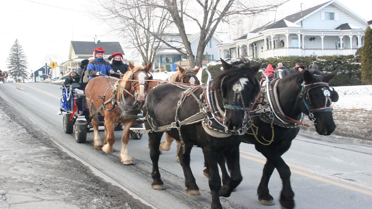 chevaux
