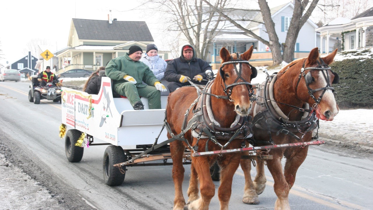 chevaux2