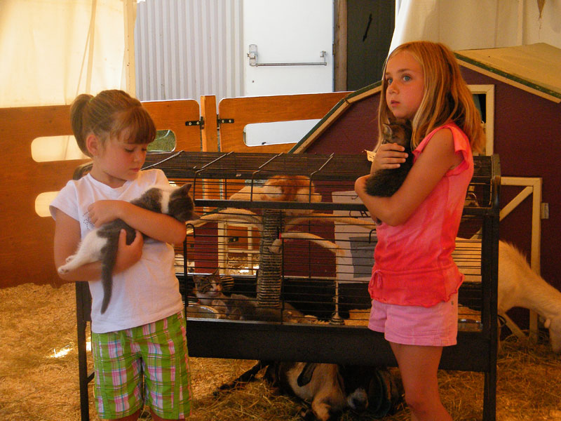 La petite ferme a fait le bonheur des enfants, une fois de plus, alors qu'ils ne se sont pas faits prier pour aller caresser les châtons, les lapins et les autres petits animaux.